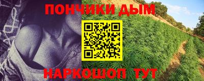 прущие крисы Шелехов