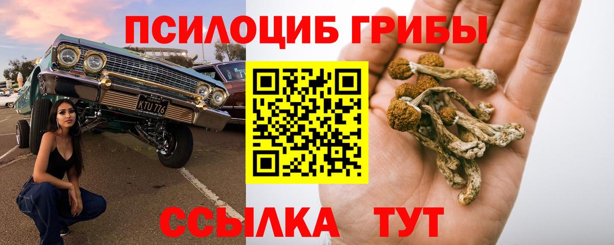 Псилоцибиновые грибы ЛСД  Вход с VPN  Псилоцибиновые грибы ЛСД  купить  сайты  Асбест 